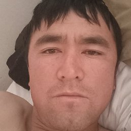 ������, ������, 37 ���