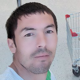 ���� ���������, ������, 36 ���