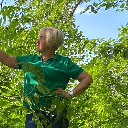 ���� �����, ���������, 60 ��� - ��������� 28 ���� 2023