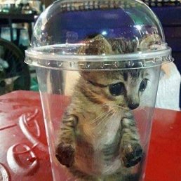 ����, ������, 21 ���