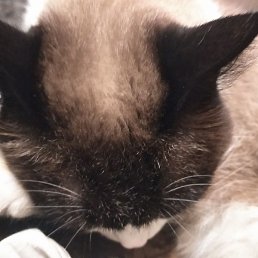 ������, ������, 44 ����