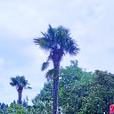 ���� �����, ������, 65 ��� - ��������� 21 ��� 2023 � ������ �����