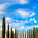 ���� ����, ������, 33 ���� - ��������� 20 �������� 2023