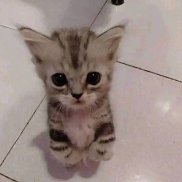 , 19 , 