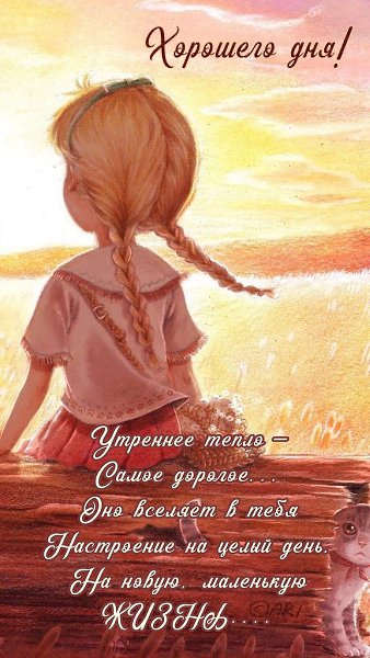   ,    . - 3  2023  23:08