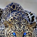���� Zaj, ������, 49 ��� - ��������� 11 ���� 2023