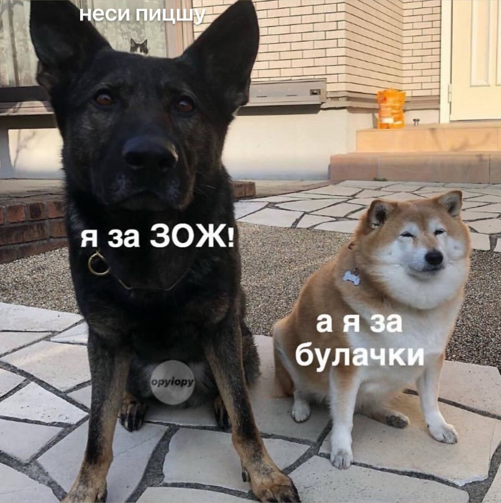    - 28  2023  11:28