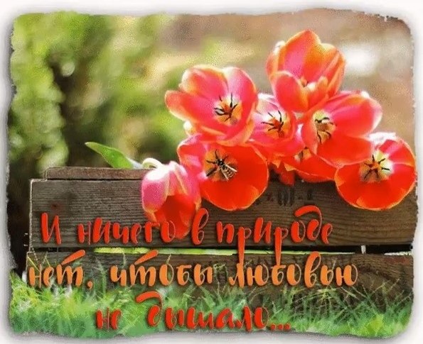**********************¤ ¤ ¤************************