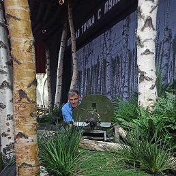 ���� �������, ������, 46 ��� - ��������� 11 ���� 2023