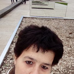 �������, 38 ���, ���������