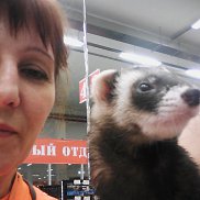 ����, , ������