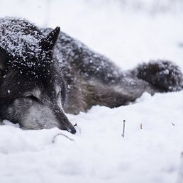 �����, ������, 30 ���