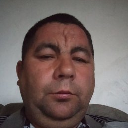 �����, ������, 42 ����