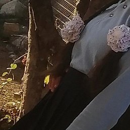 ������, ������, 38 ���