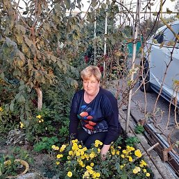 ����, ���������, 65 ���
