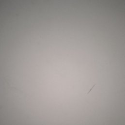 �������.����, ������, 39 ���