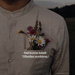 ���� Shoh, �����, 31 ��� - ��������� 3 ����� 2023