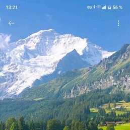 �������, �����, 41 ���