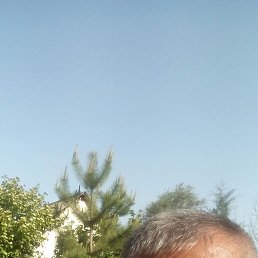 ���� �������, �������, 68 ��� - ��������� 24 ������ 2023