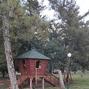 ���� ��������, ������, 68 ��� - ��������� 22 ������� 2023 � ������ ������ ��������