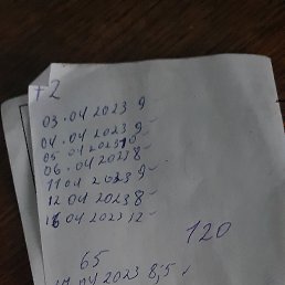 ���� Orzu, �����, 31 ��� - ��������� 8 ��� 2023