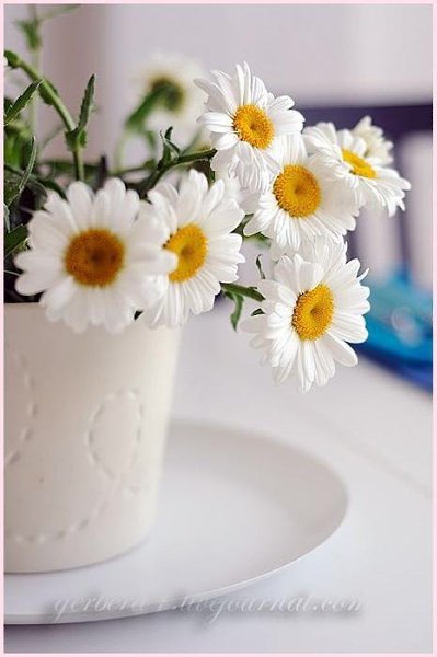 Handmade Club | ���� ��������.���y� - 2