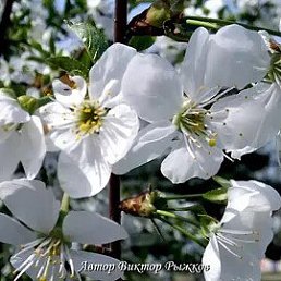 ���� M, �������, 59 ��� - ��������� 6 ���� 2023