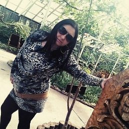 �������, ������, 37 ���