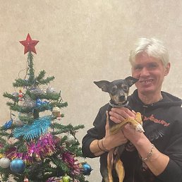 ���� �����, ������, 50 ��� - ��������� 17 ������� 2023