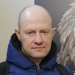 ���������, �����������, 41 ���