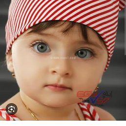 Gfdrzmlow En, �����, 49 ���