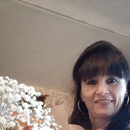 ������, ������, 46 ���