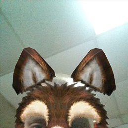 ���� ������, ���������, 39 ��� - ��������� 8 ���� 2023