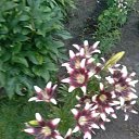 ���� ���������, �������, 59 ��� - ��������� 28 ���� 2023