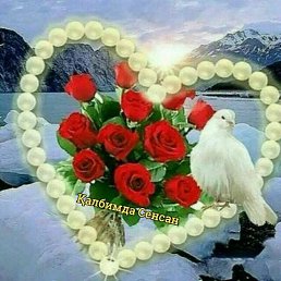 ���� Nigora, �����, 36 ��� - ��������� 2 ������� 2023