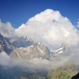 ������, ������, 50 ���