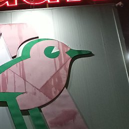 ���, ��������, 26 ���