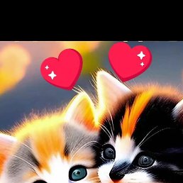 Gean, ��������, 43 ����