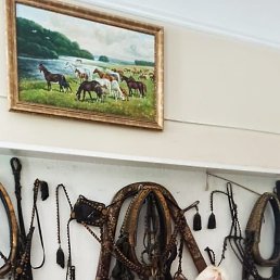 �����, ������-��-����, 49 ���