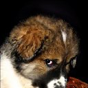 ���� ������, ����� - ��������� 8 ���� 2023 � ������ ���� ����������