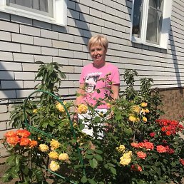 ���� �����, �����, 65 ��� - ��������� 19 ������� 2023