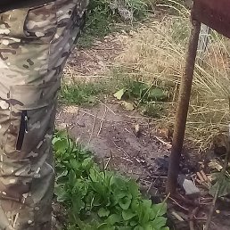 ���������, ������, 49 ���