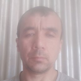 ������, ���������, 46 ���