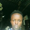  Alphonce, , 22  -  28  2023    