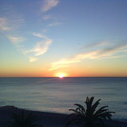 Vladimir, �����, 66 ���