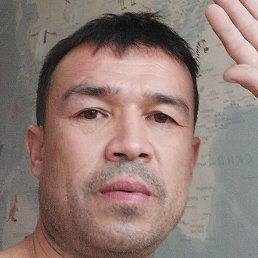 �������, ������, 37 ���