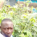 ���� Sawadogo, �����������, 35 ��� - ��������� 28 ������� 2023 � ������ ���� ����������