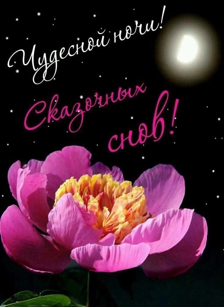   ,    . - 13  2023  21:08