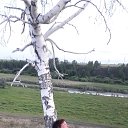 ���� �����, �����������, 42 ���� - ��������� 2 ������� 2023 � ������ ���� ����������