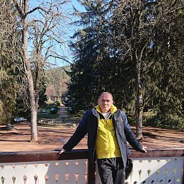 �������, ������-��-����, 49 ���